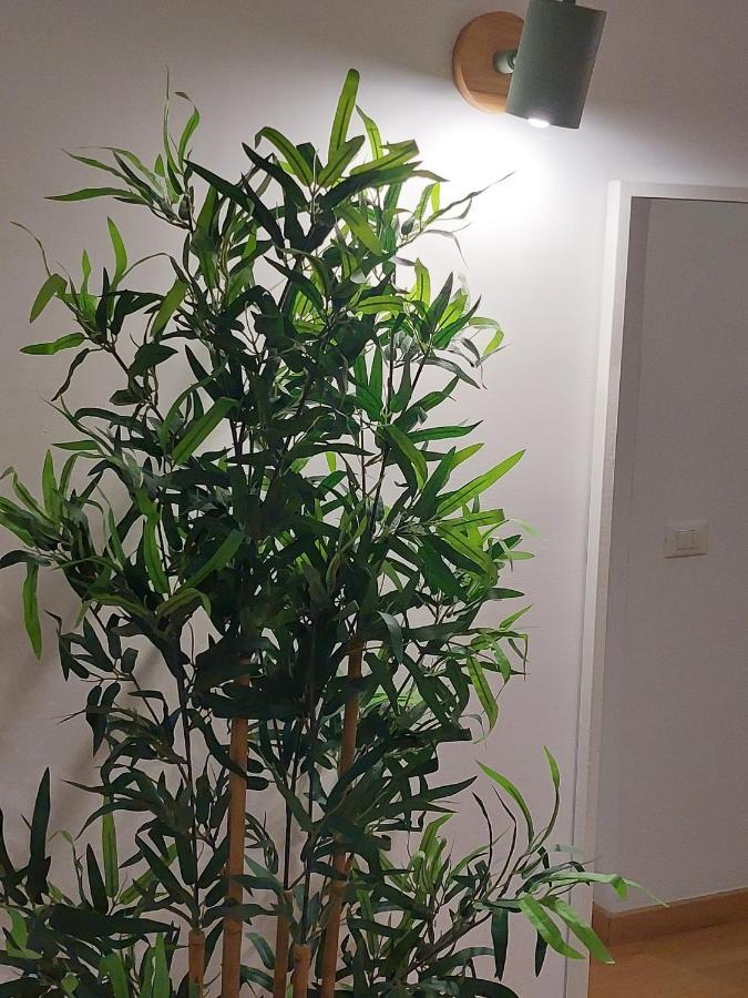 Conte Rosso Apartment Рим Екстериор снимка